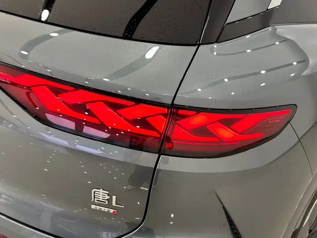 BYD Tang L — фото 7
