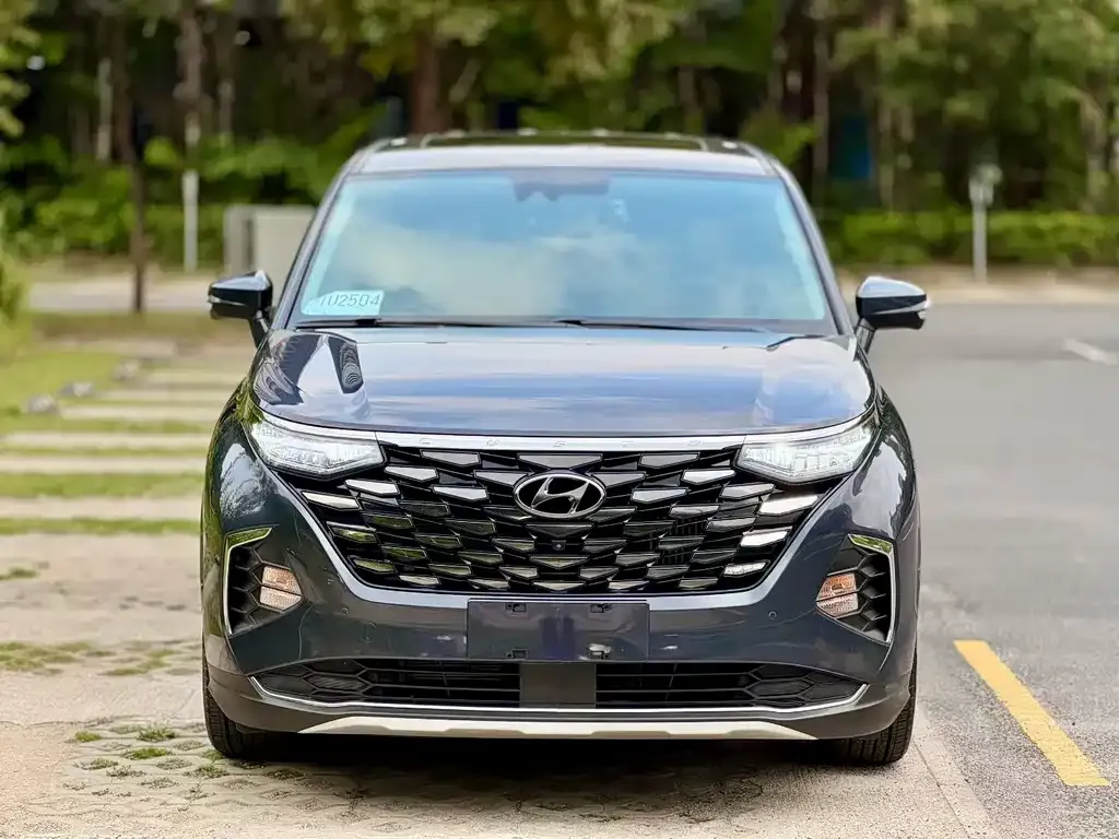 Hyundai Custo — фото 7
