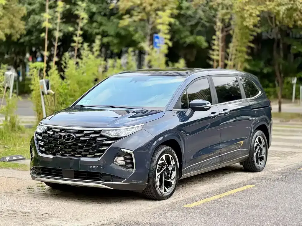 Hyundai Custo — фото 10