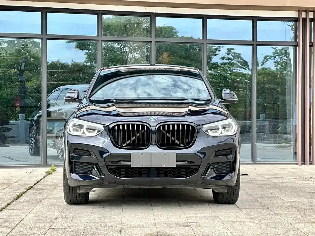 BMW X4 2021 из CN, фото 10