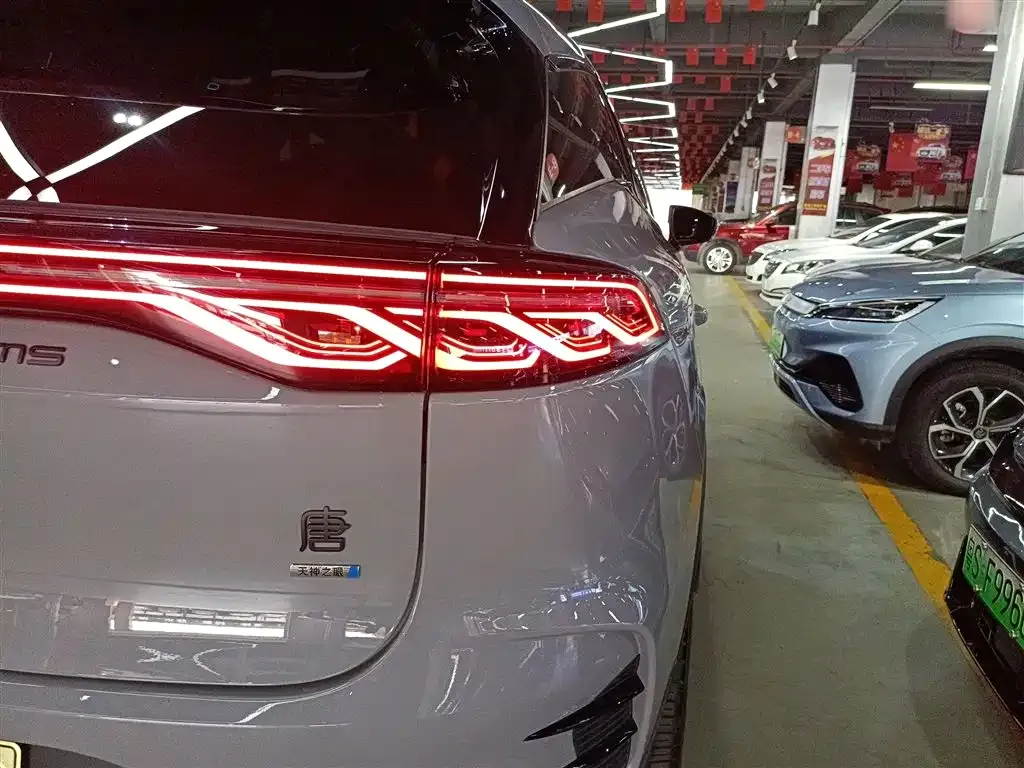 BYD Tang New Energy — фото 10
