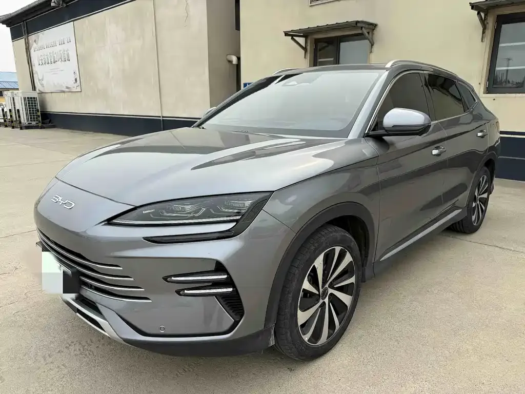 BYD PLUS New Energy — фото 1
