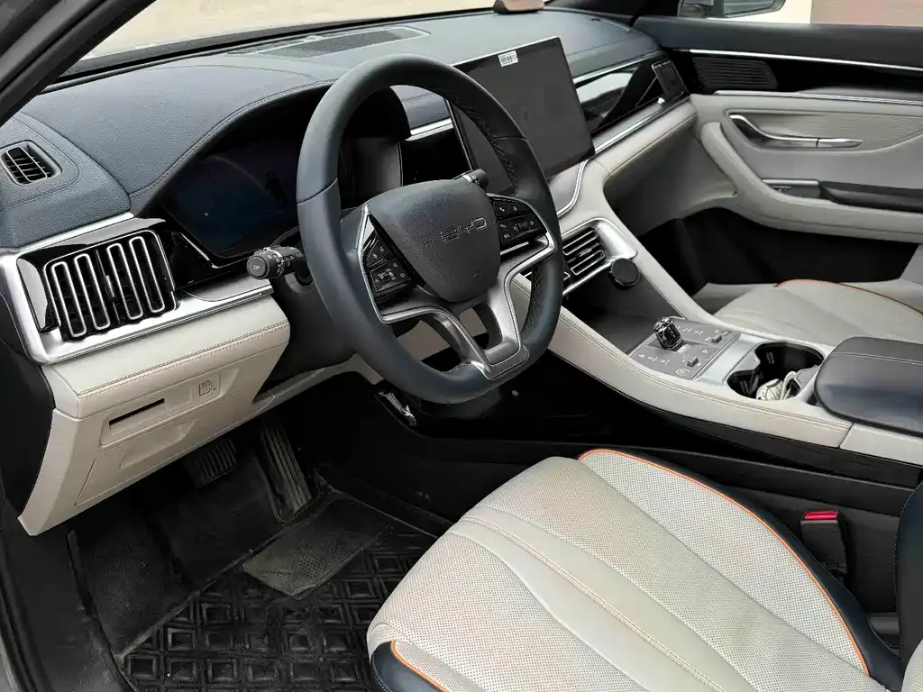 BYD PLUS New Energy — фото 5