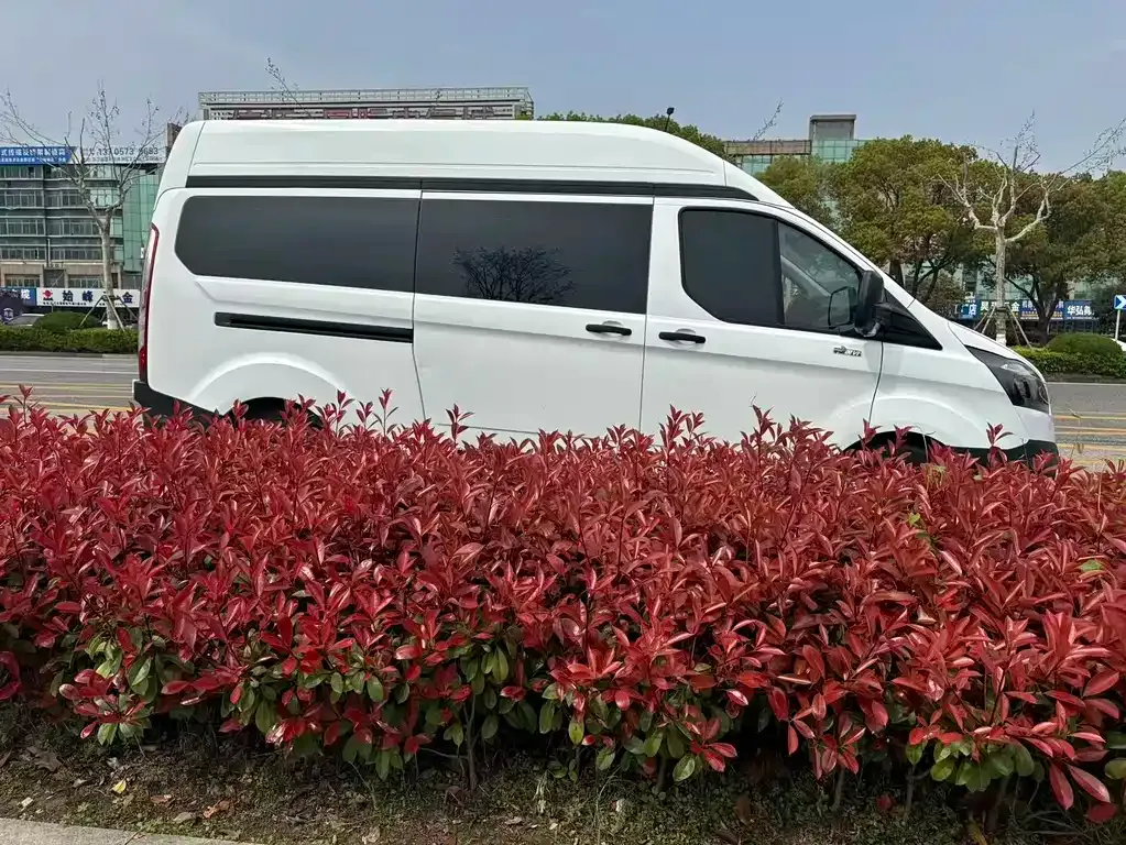 Ford Transit 2022 из CN, фото 9