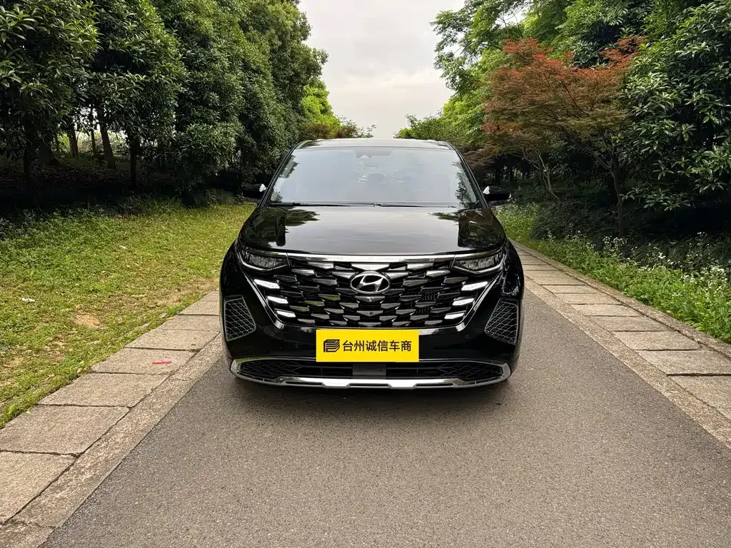 Hyundai Custo — фото 7