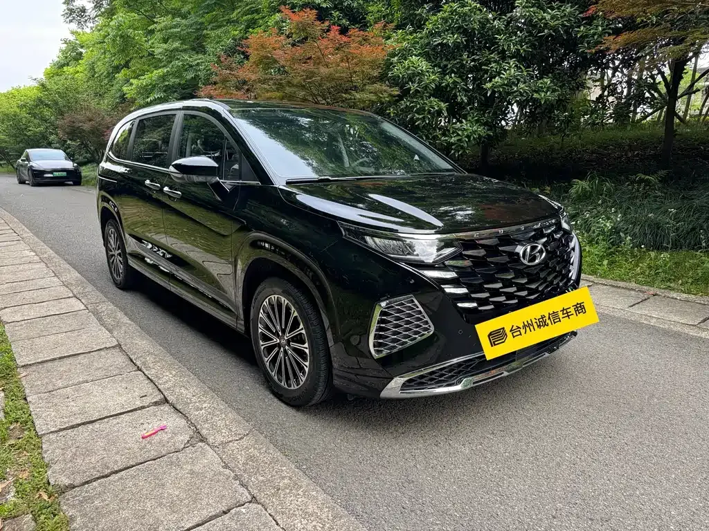 Hyundai Custo — фото 3