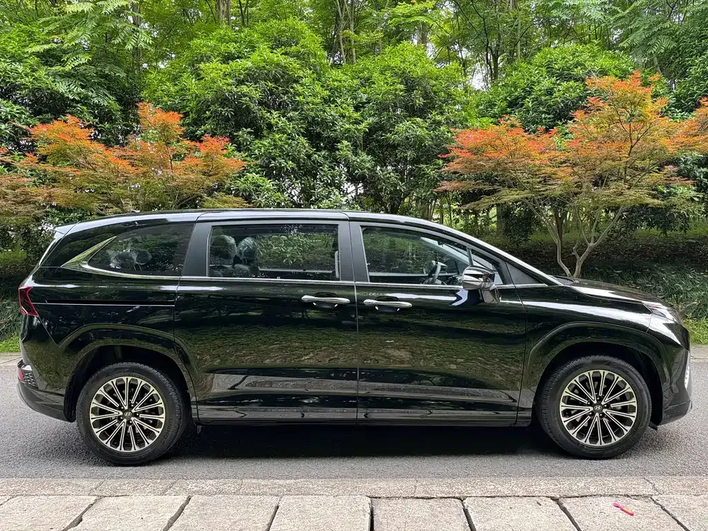 Hyundai Custo — фото 4