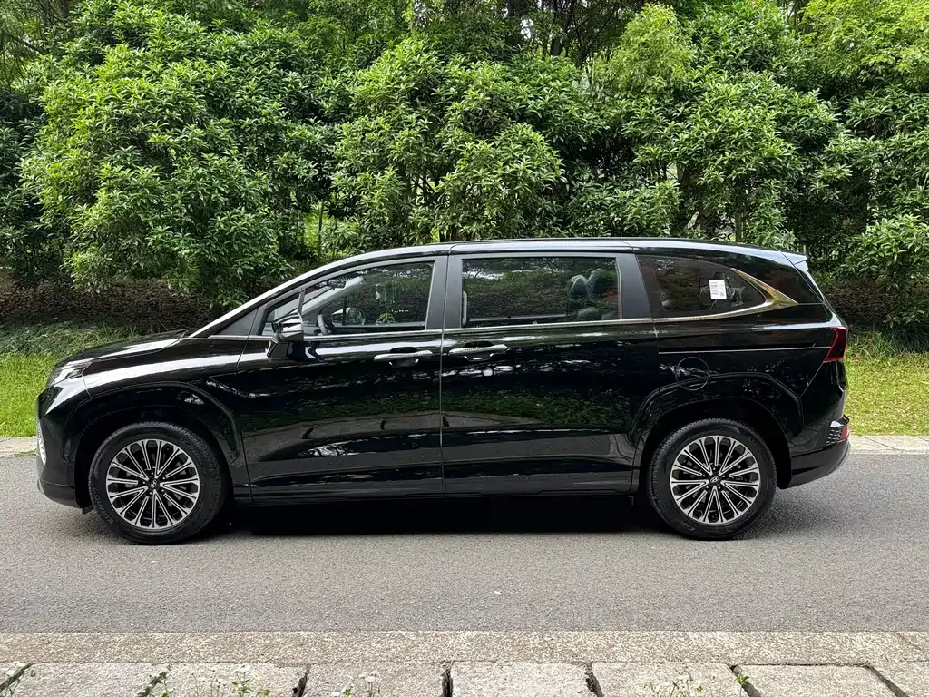 Hyundai Custo — фото 8