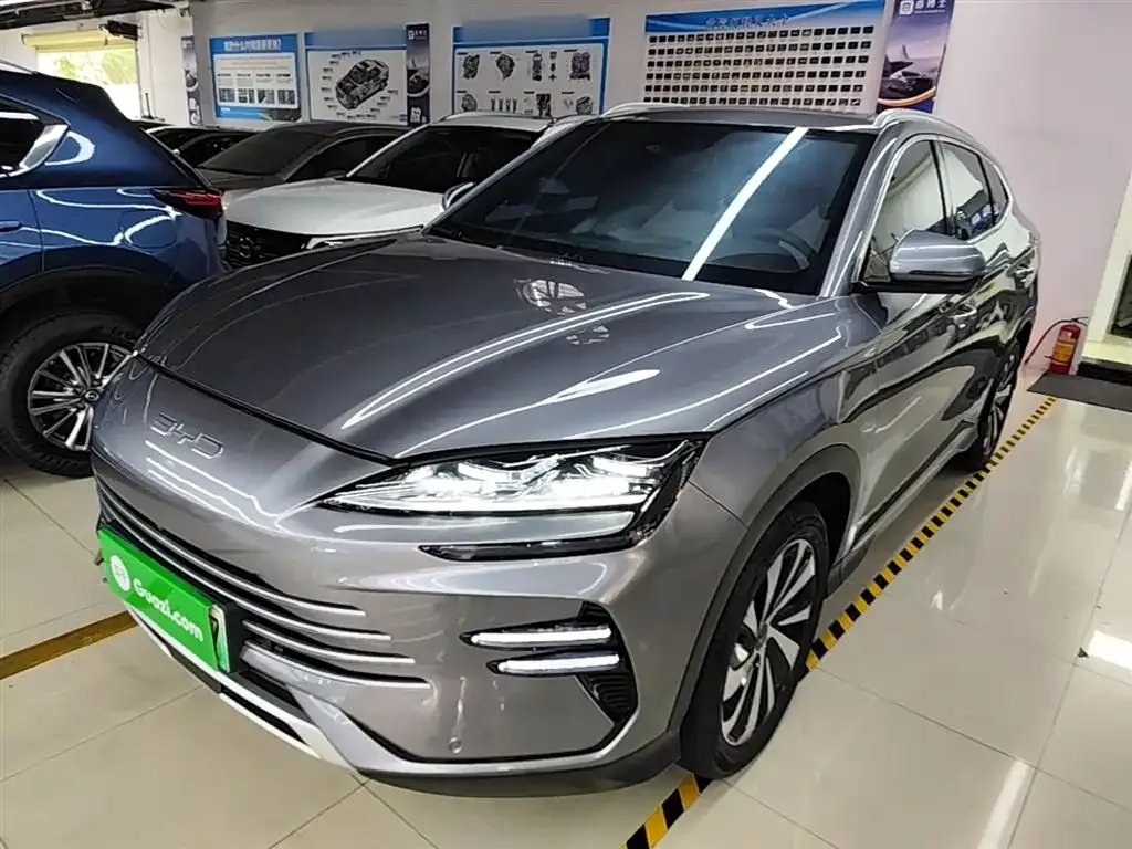 BYD PLUS New Energy — фото 3