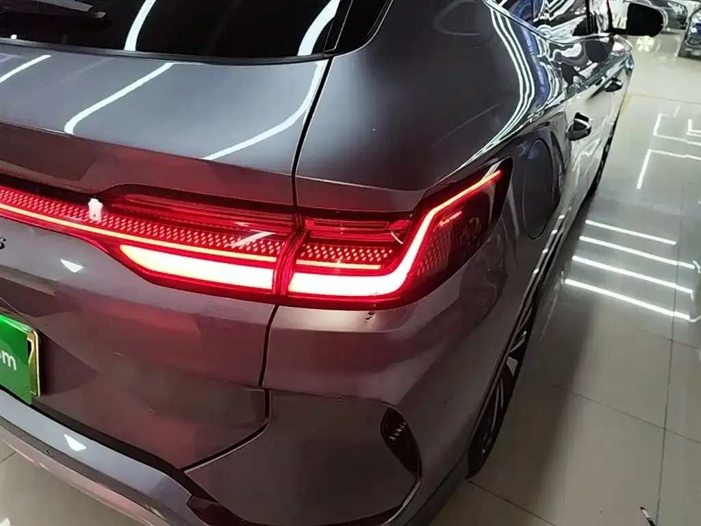 BYD PLUS New Energy — фото 8