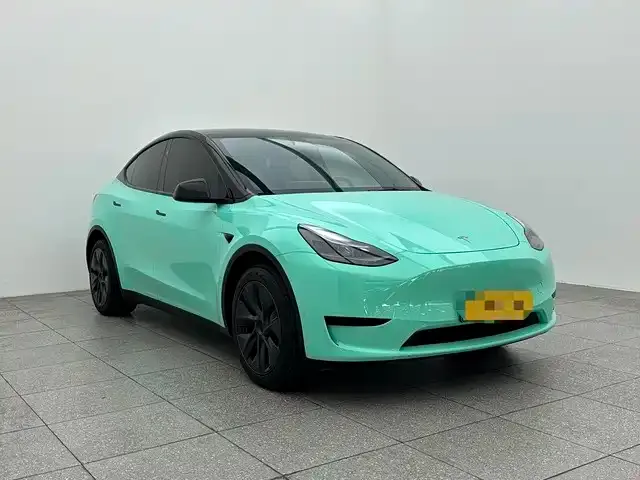 Tesla Model Y — фото 10