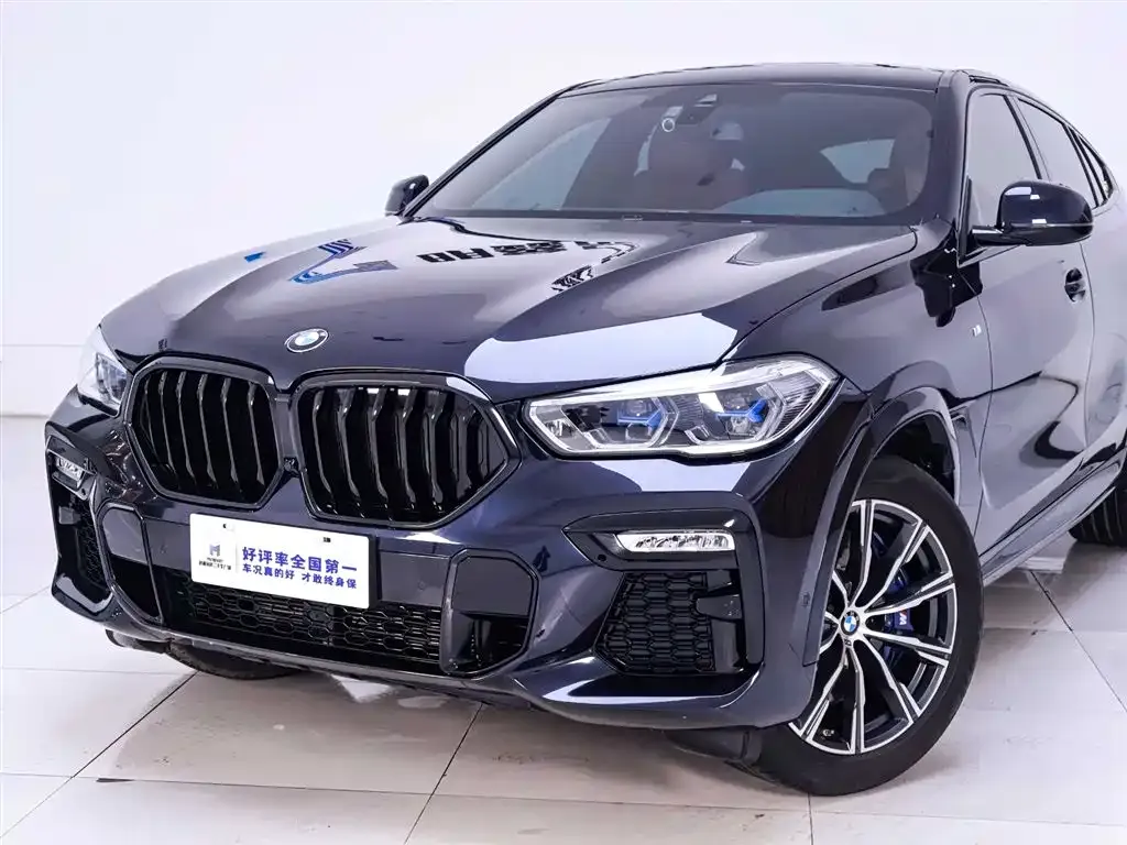 BMW X6 2021 из CN, фото 4
