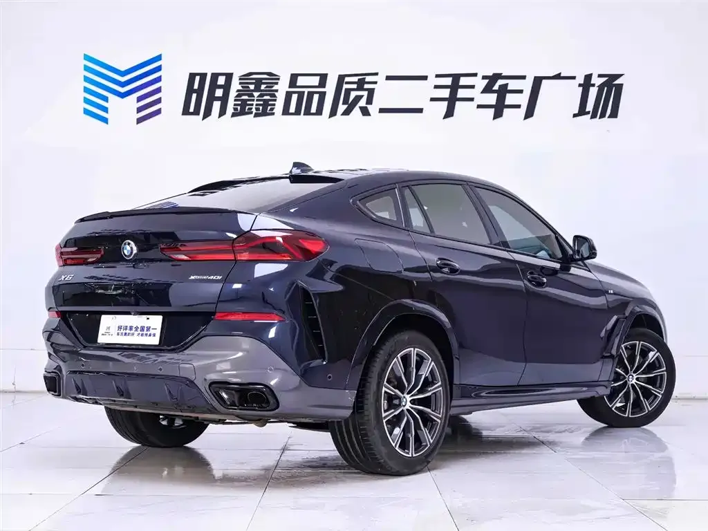 BMW X6 2021 из CN, фото 10