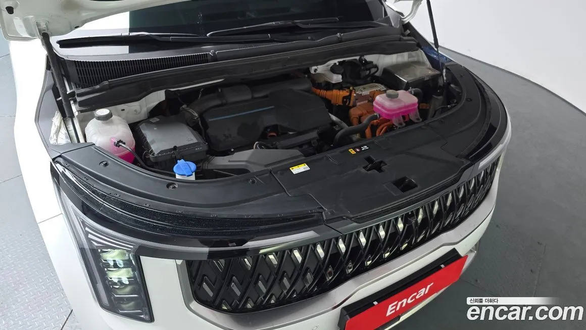 Kia Carnival — фото 10
