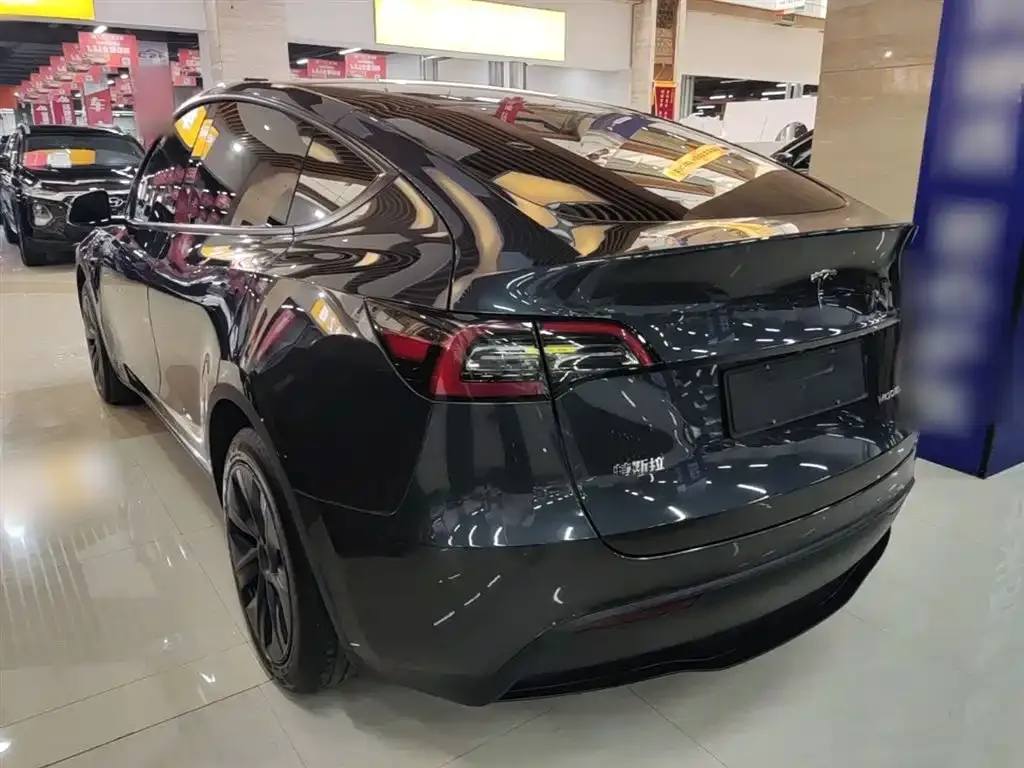 Tesla Model Y — фото 2