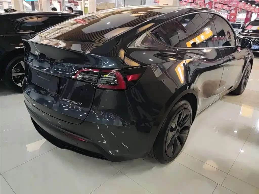 Tesla Model Y — фото 10