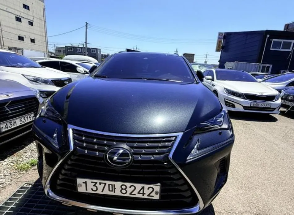 Lexus NX 2021 из KR, фото 5