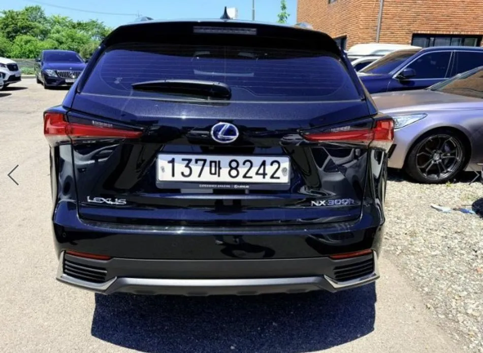 Lexus NX 2021 из KR, фото 6
