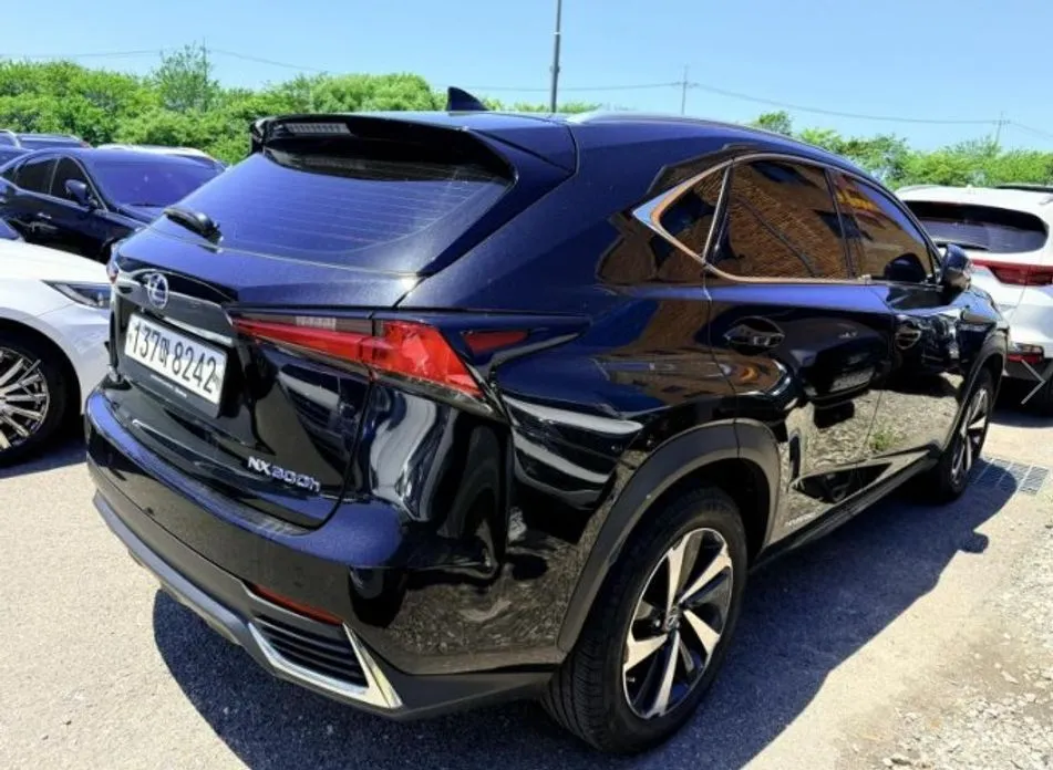 Lexus NX 2021 из KR, фото 7