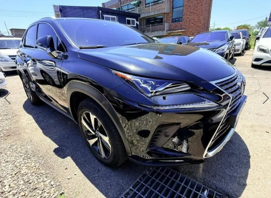Lexus NX 2021 из KR, фото 2