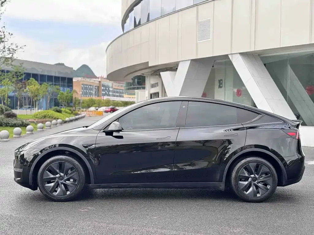 Tesla Model Y — фото 10