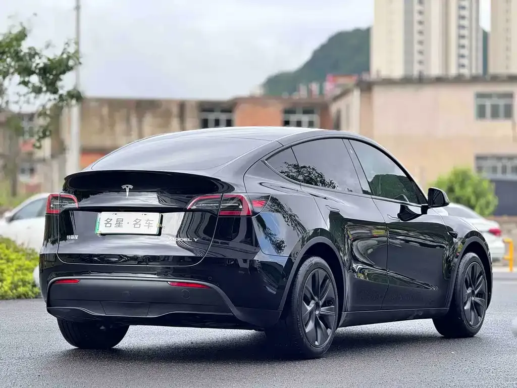 Tesla Model Y — фото 8
