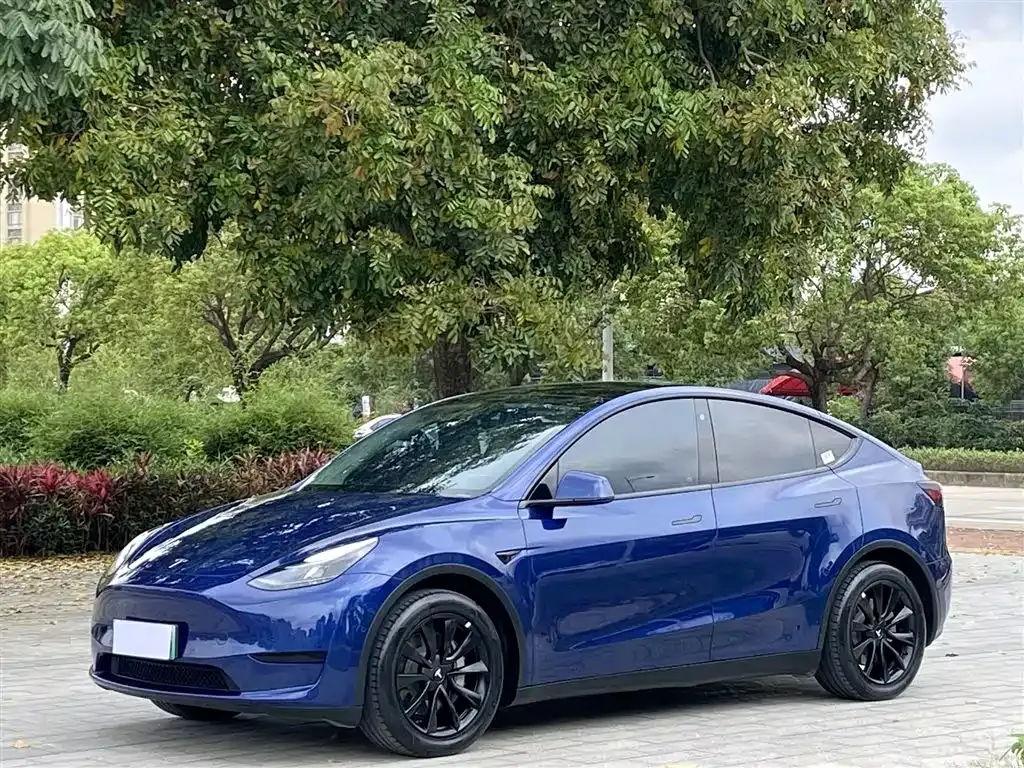 Tesla Model Y — фото 1