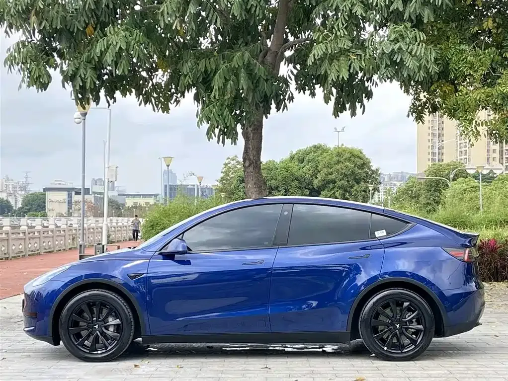 Tesla Model Y — фото 6
