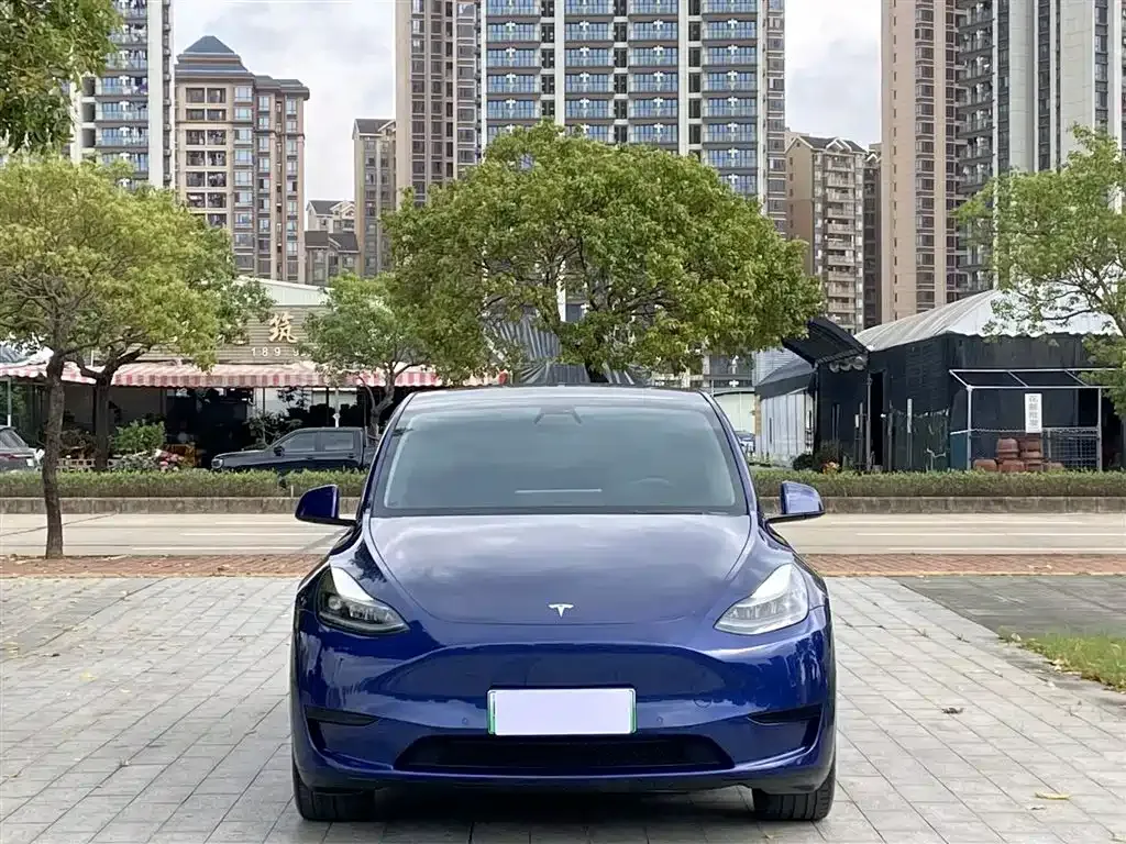 Tesla Model Y — фото 10