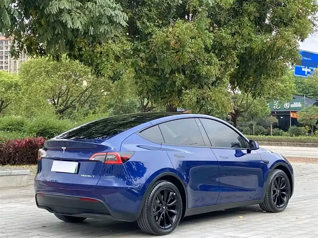 Tesla Model Y — фото 9