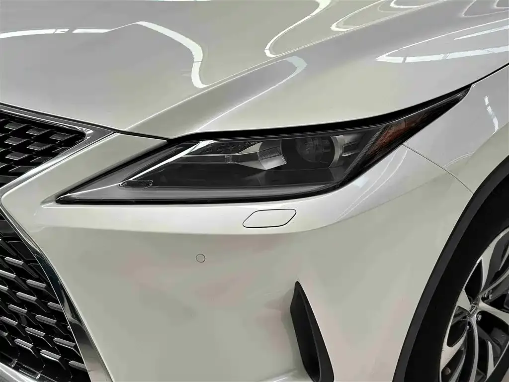 Lexus RX 2021 из CN, фото 4