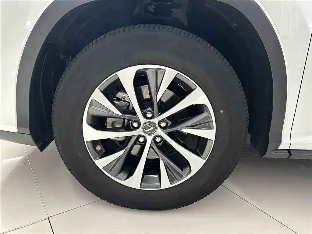 Lexus RX 2021 из CN, фото 3