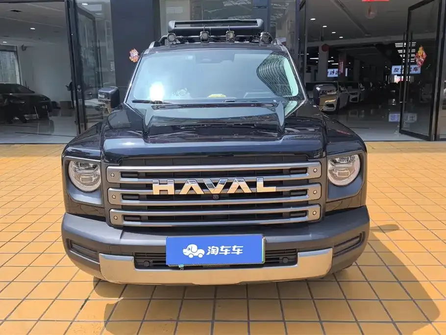 Haval Menglong New Energy 2023 из CN, фото 9