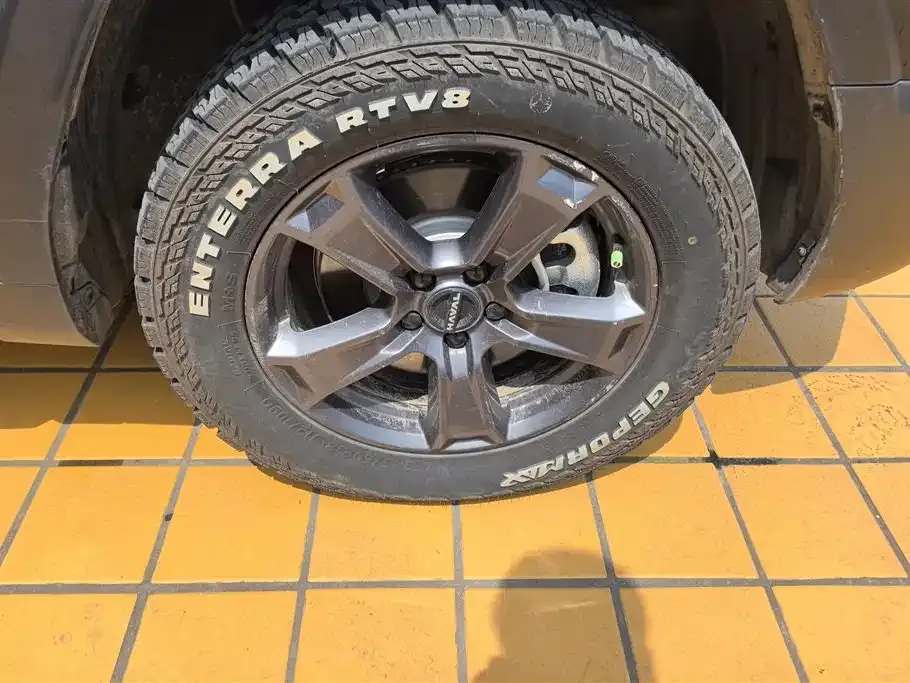 Haval Menglong New Energy 2023 из CN, фото 3