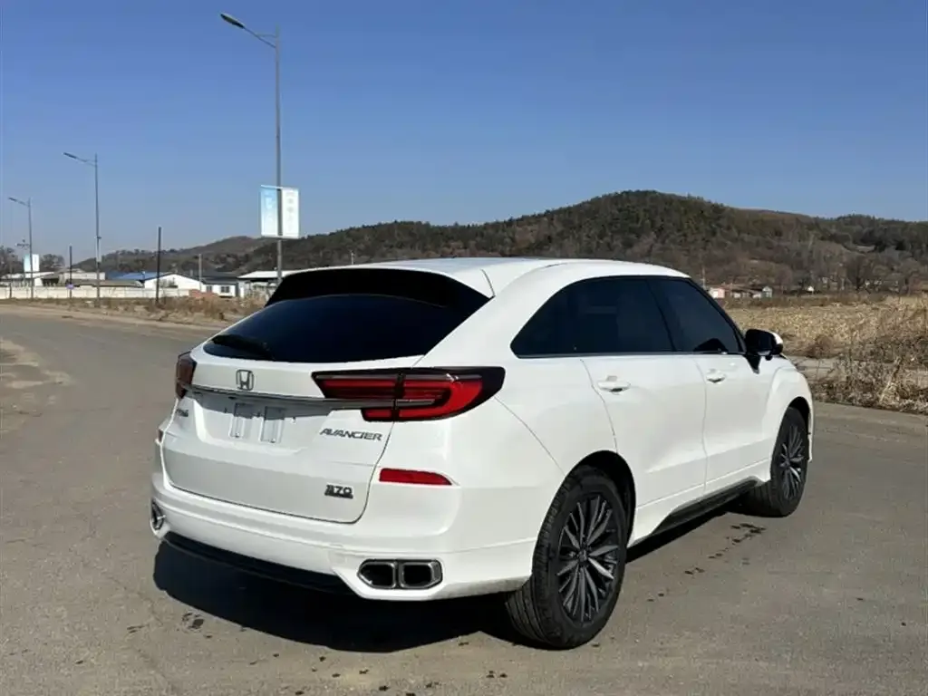 Honda Avancier 2022 из CN, фото 4