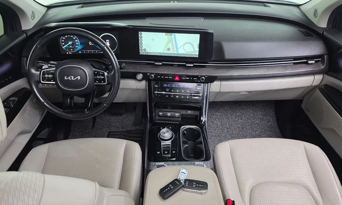 Kia Carnival — фото 10