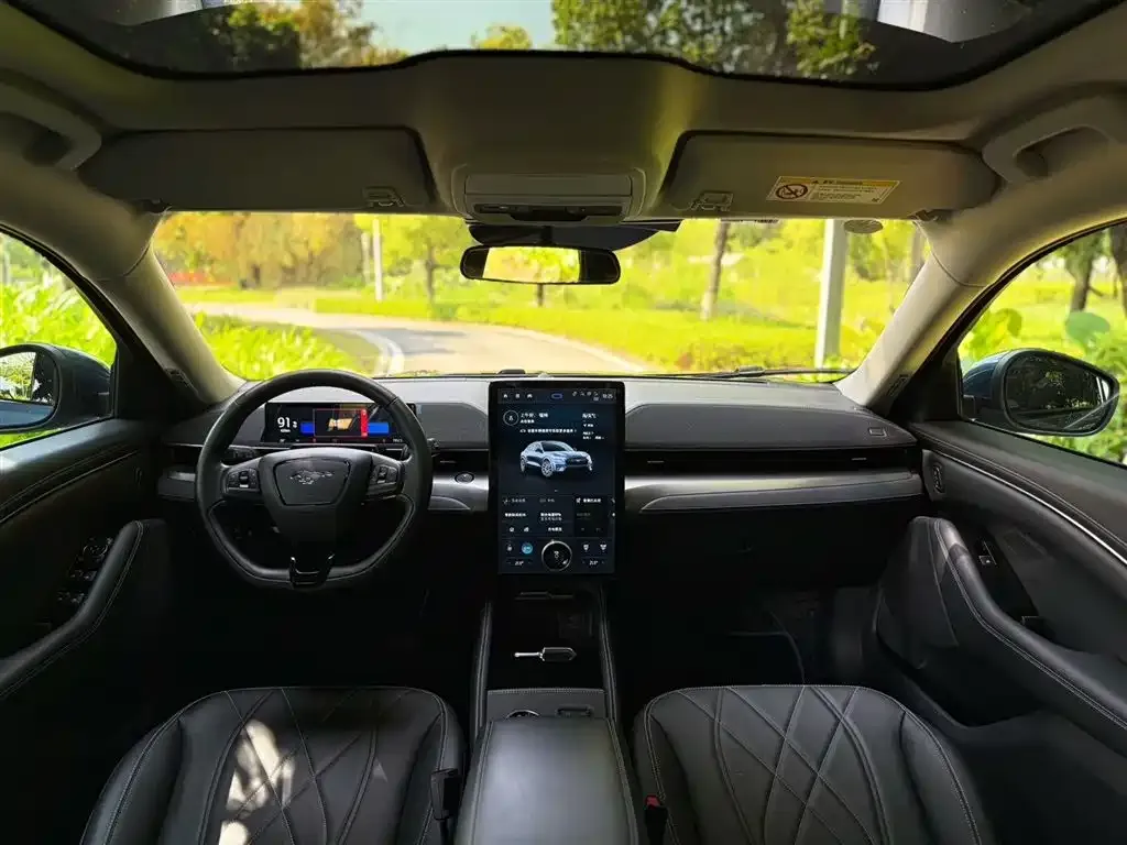 Ford Mustang Mach-E — фото 7