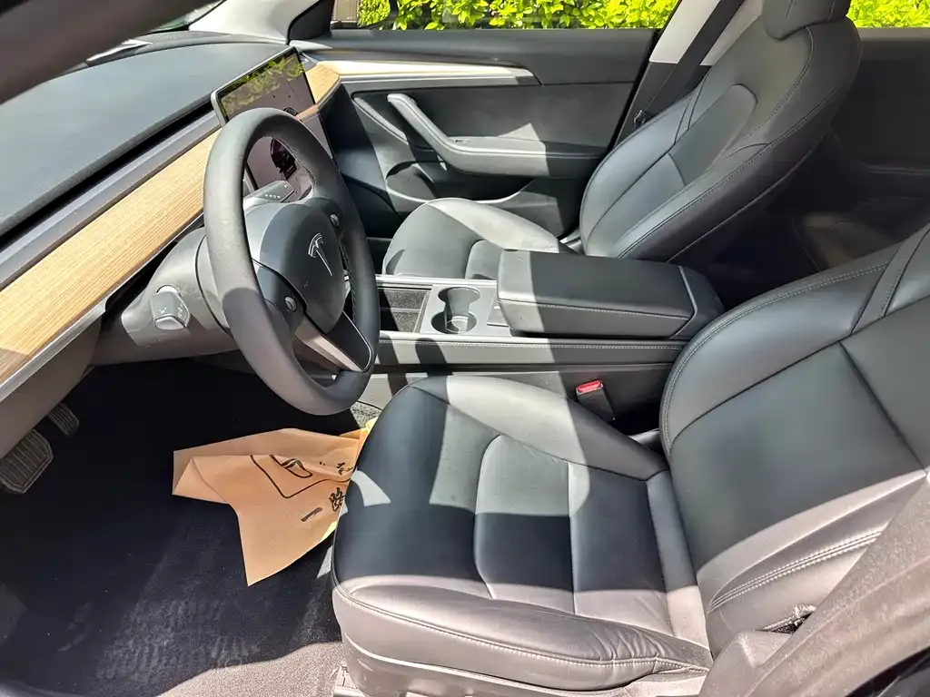 Tesla Model 3 2023 из CN, фото 5