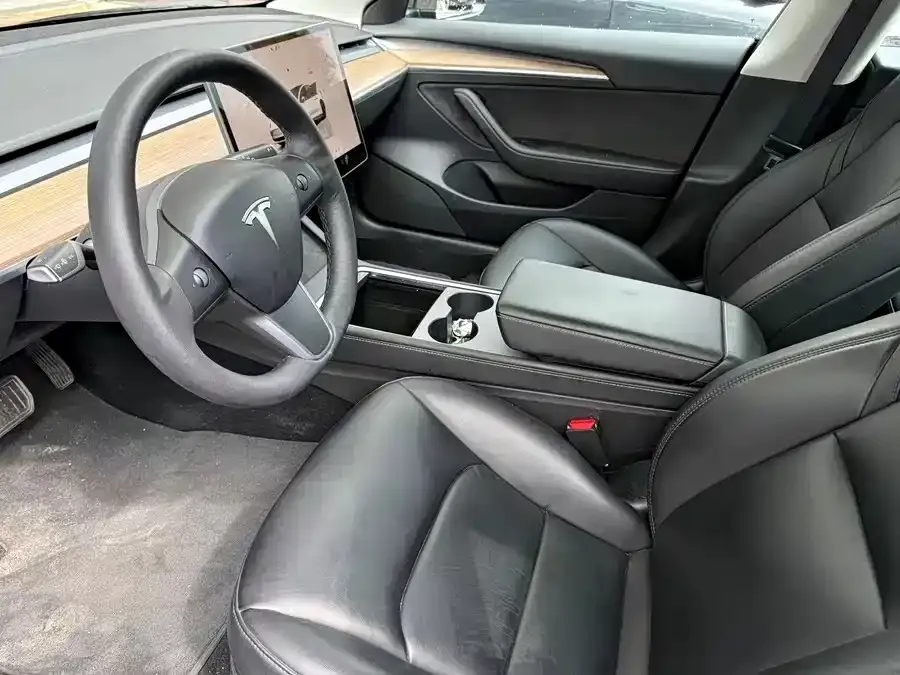 Tesla Model 3 2023 из CN, фото 4