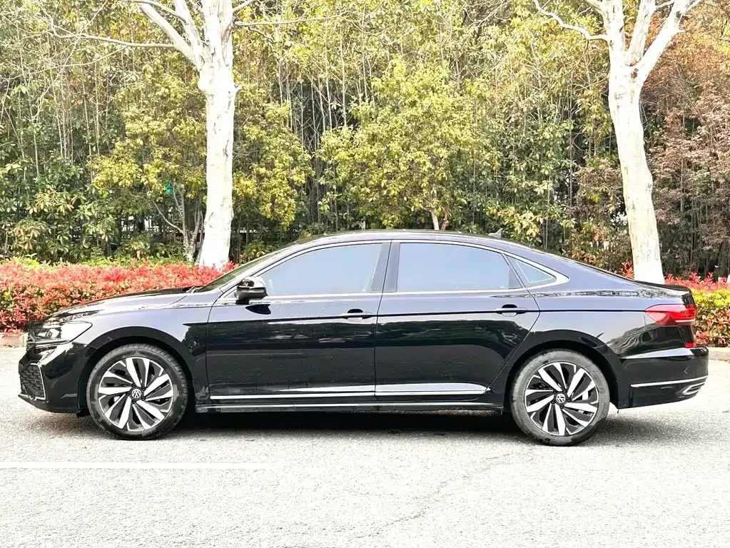 Volkswagen Passat — фото 9