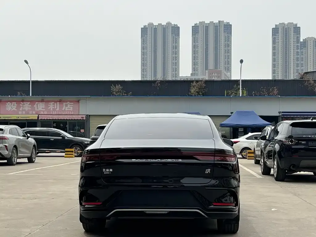 BYD Han — фото 2