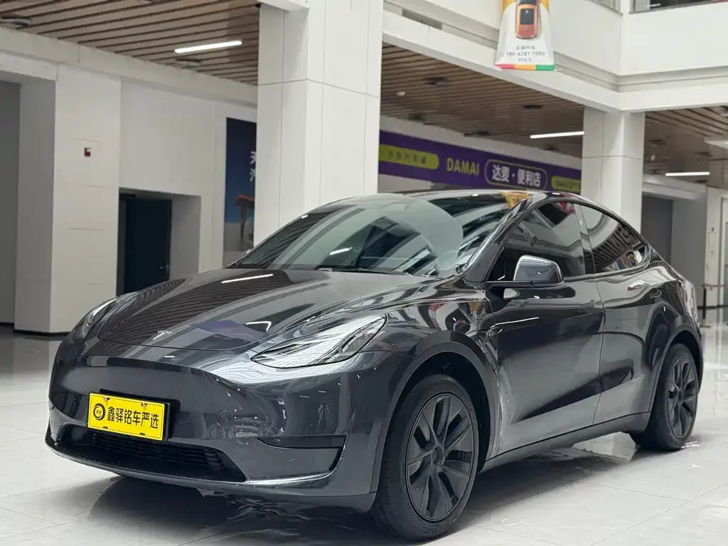 Tesla Model Y — фото 1