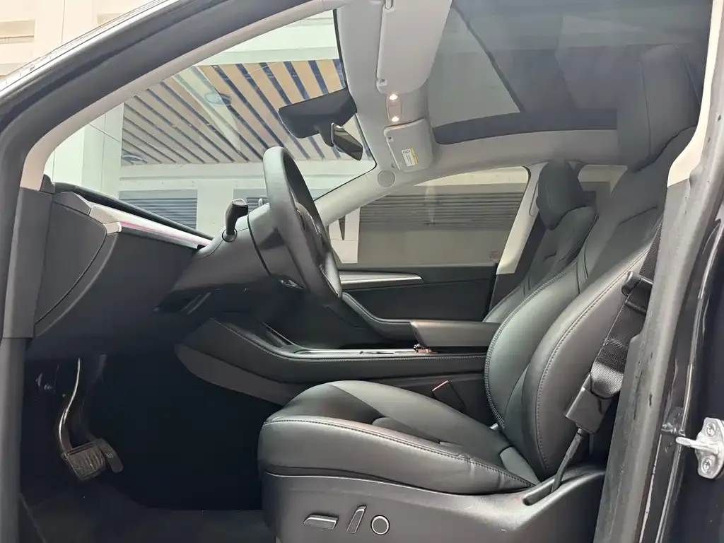 Tesla Model Y — фото 10