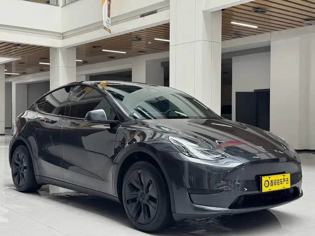 Tesla Model Y — фото 3