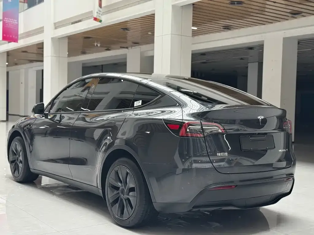 Tesla Model Y — фото 8
