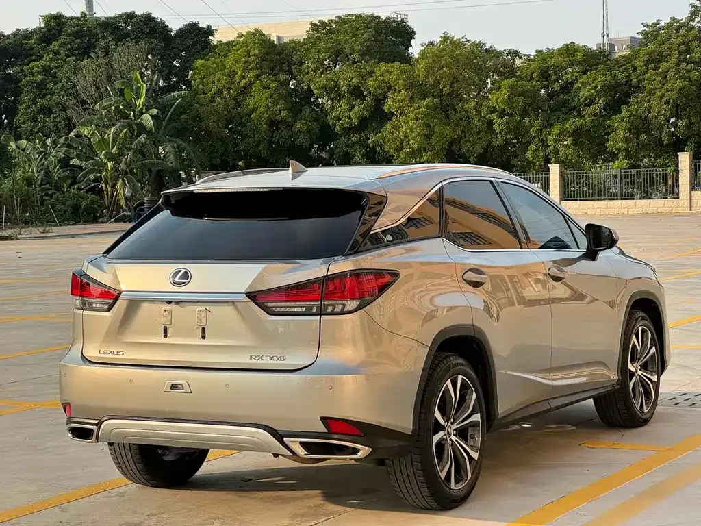 Lexus RX — фото 8