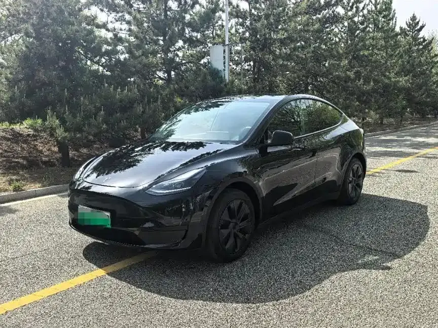 Tesla Model Y — фото 1