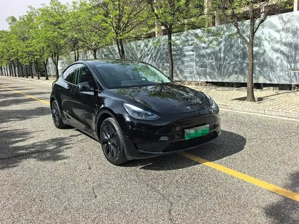 Tesla Model Y — фото 8