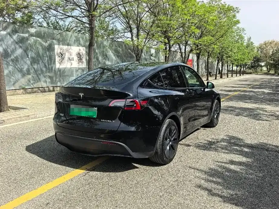 Tesla Model Y — фото 9