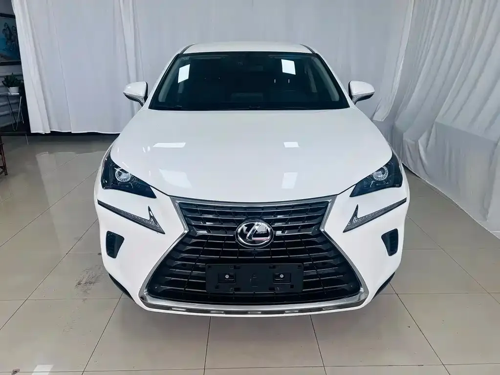 Lexus NX 2021 из CN, фото 2